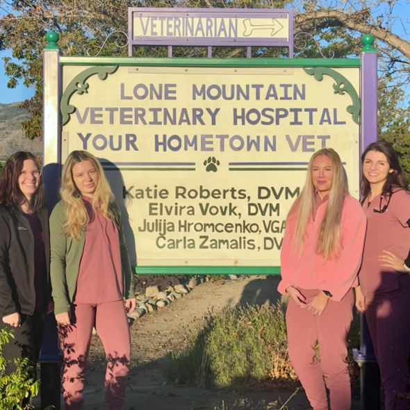 Veterinarians